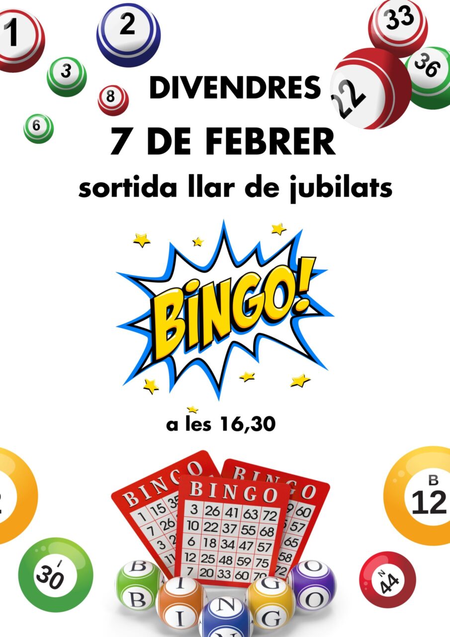 Sortida al Bingo